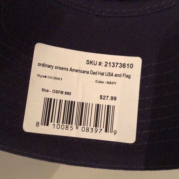 NWT Ordinary Crowns Americana Dad Hat USA & Flag - Picture 4 of 7